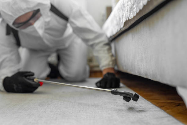 Professional Bed Bug Control technician working in Bonnie Brae, IL