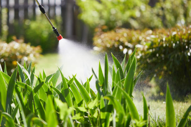 24/7 Emergency Bed Bug Control experts in Bonnie Brae, IL